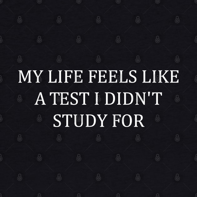 My Life Feels Like A Test I Didn't Study For Funny Humor by WildFoxFarmCo